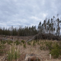 DSC_0042.JPG